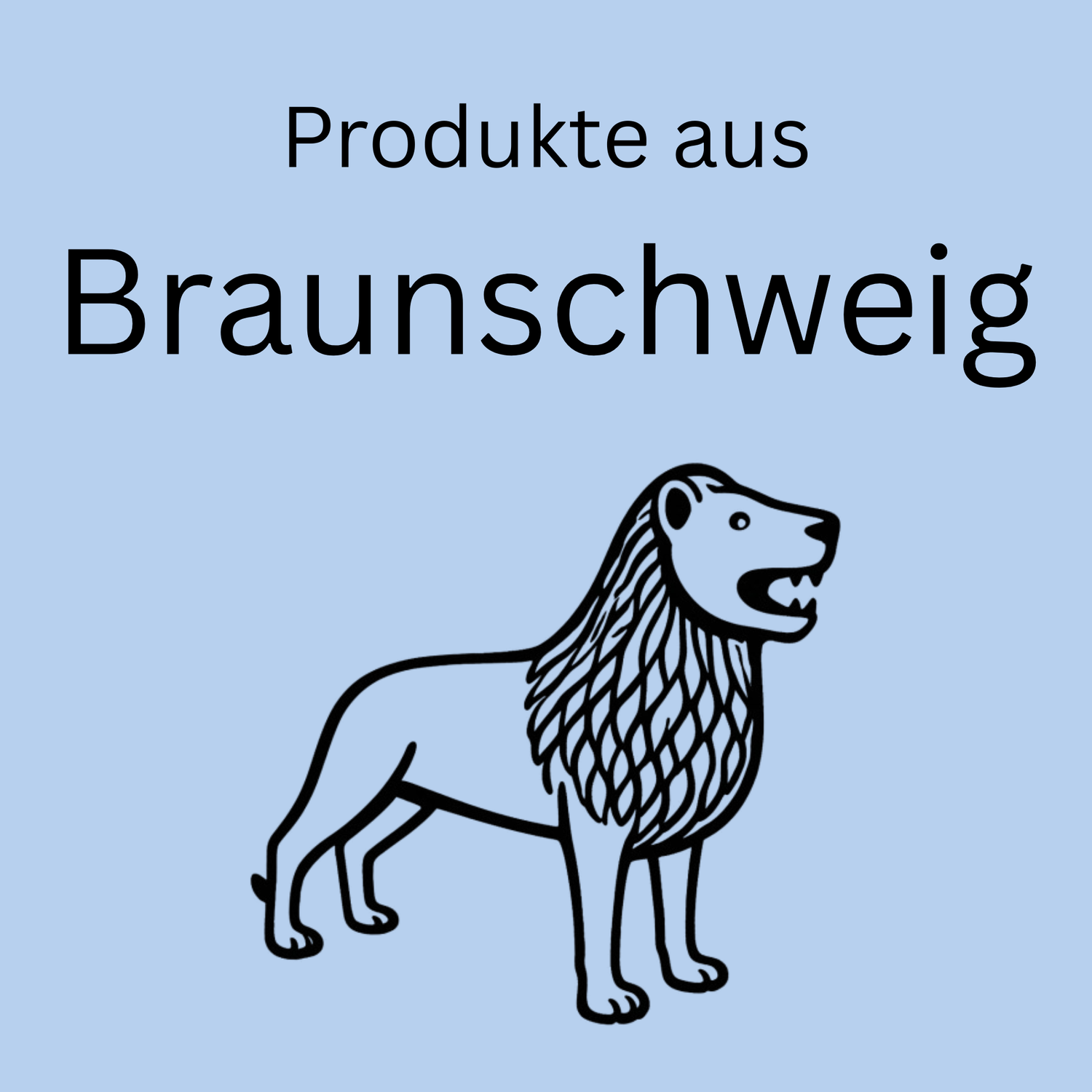 Bild von Braunschweig