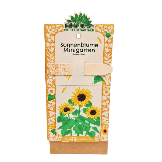 Minigarten - Sonnenblume