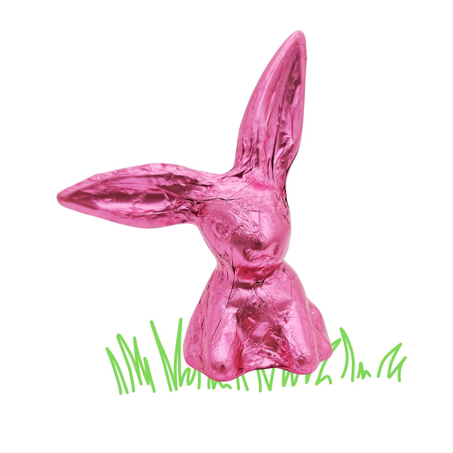 Schlappohrhase